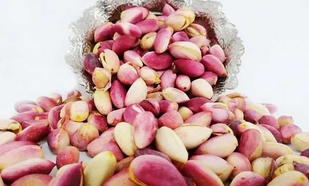 تصویر 3 از قیمت پسته اکبری ممتاز شور با کیفیت ارزان + خرید عمده